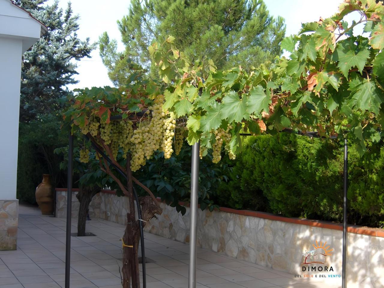 Ferienwohnung Dimora Del Sole E Del Vento Crispiano Exterior foto